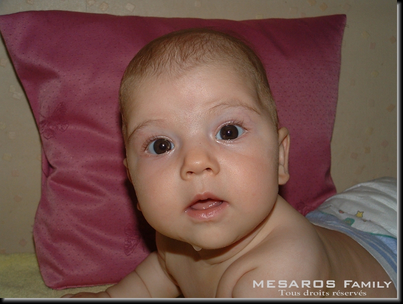 Cliquer pour l'image originale