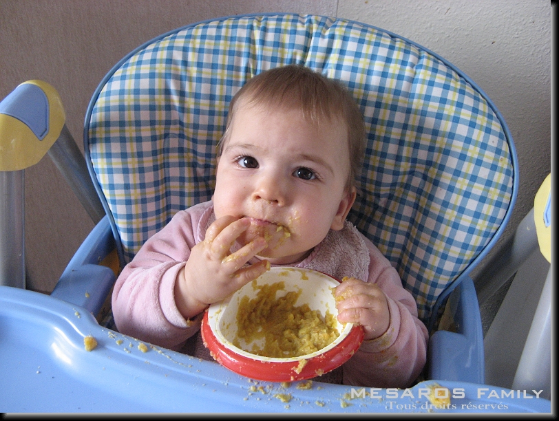 Cliquer pour l'image originale