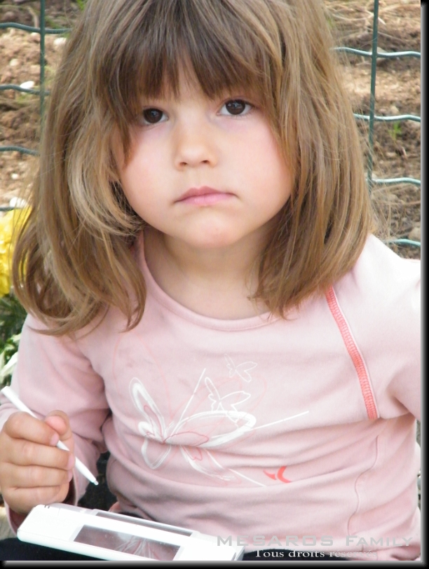 Cliquer pour l'image originale