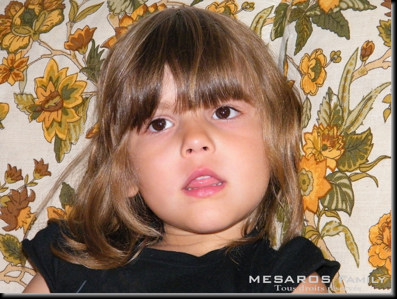 Cliquer pour l'image originale