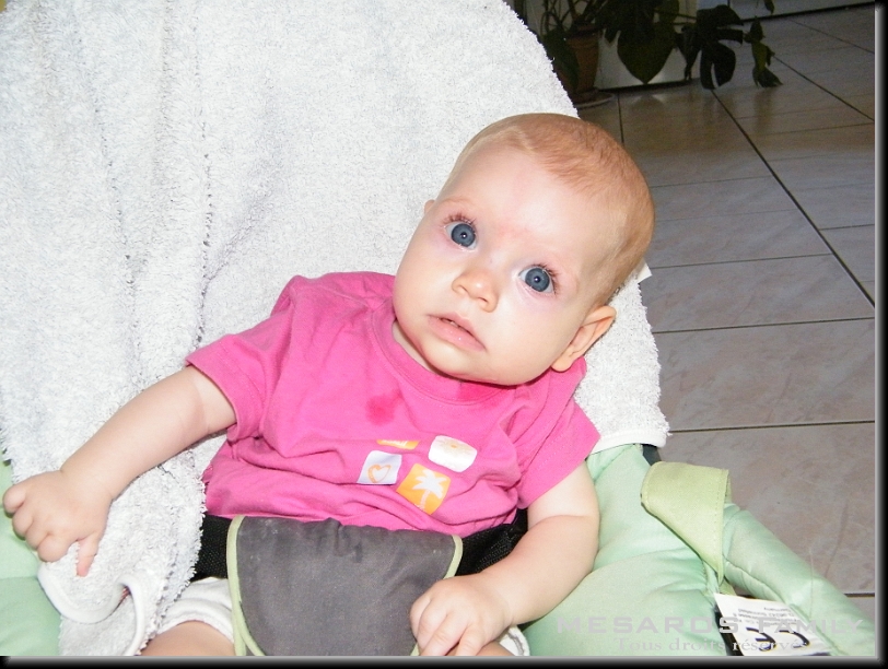 Cliquer pour l'image originale