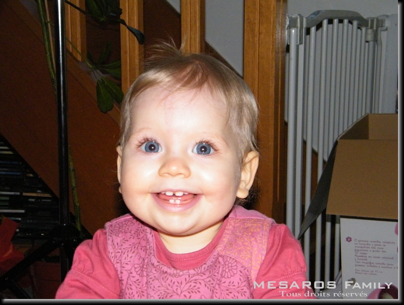 Cliquer pour l'image originale