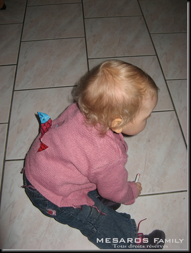 Cliquer pour l'image originale