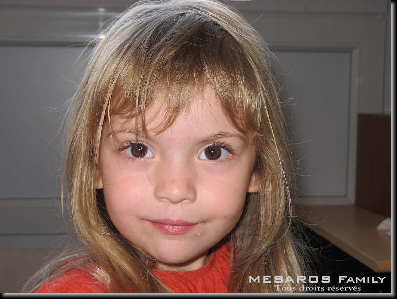 Cliquer pour l'image originale