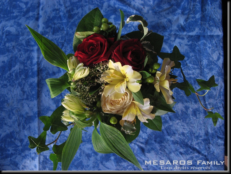 Cliquer pour l'image originale