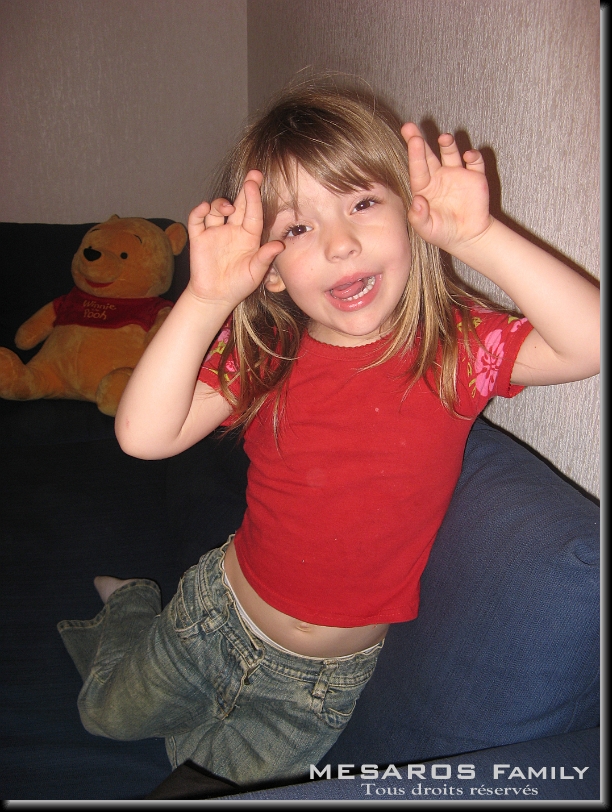 Cliquer pour l'image originale