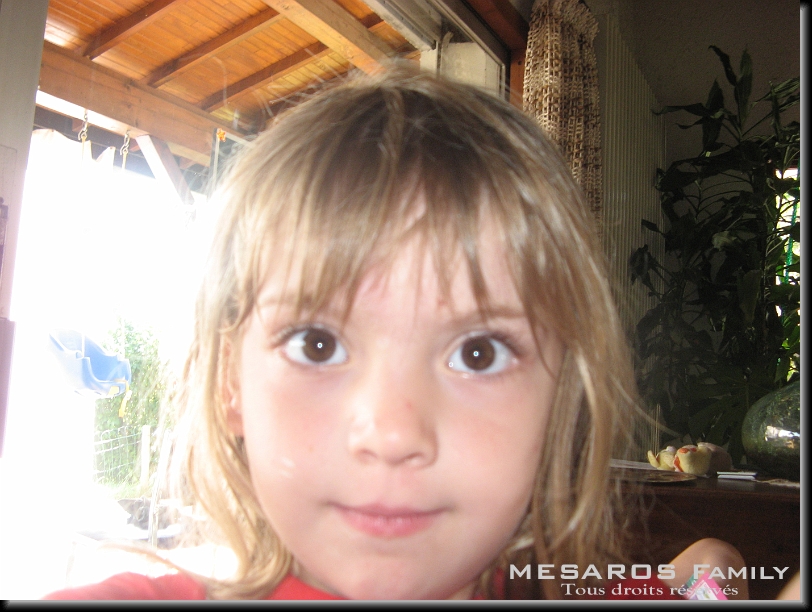 Cliquer pour l'image originale