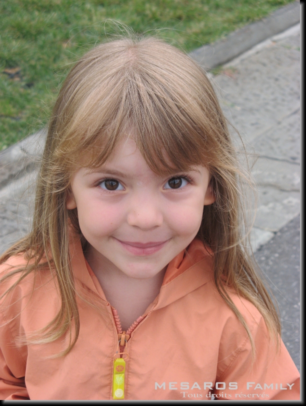 Cliquer pour l'image originale