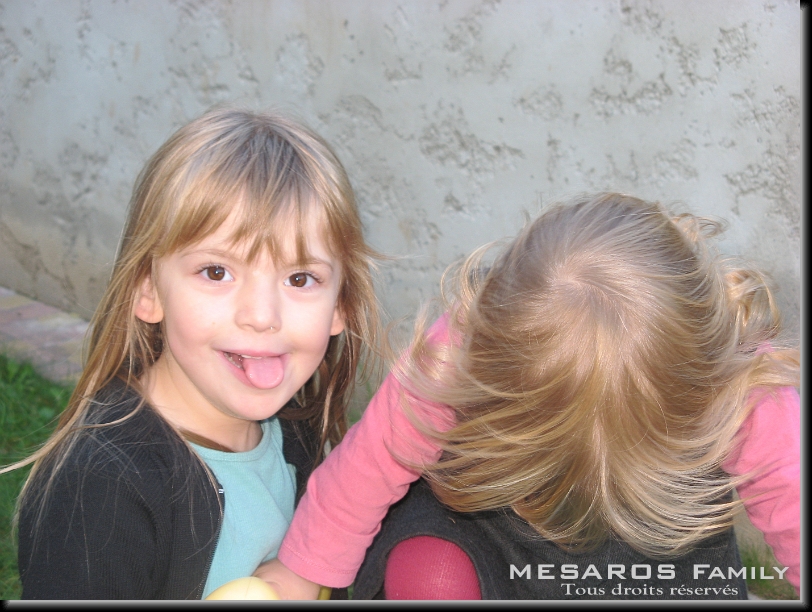 Cliquer pour l'image originale