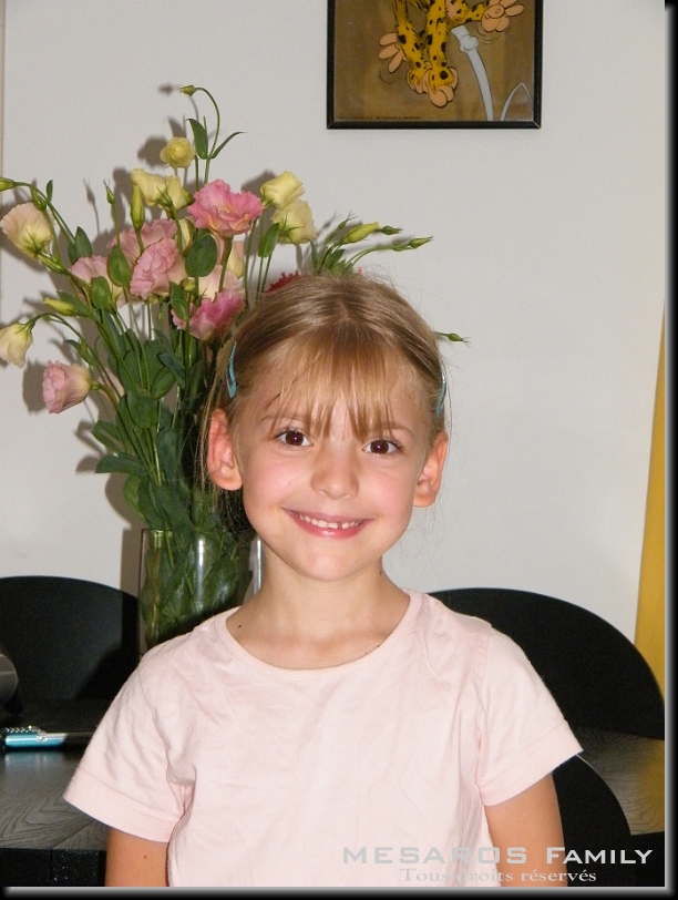 Cliquer pour l'image originale