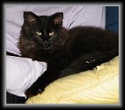 04/01/2010 : Cachou